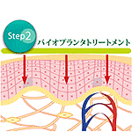 横浜のエステサロンで美肌作りstep2