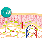 横浜のエステサロンで美肌作りstep3