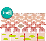 横浜のエステサロンで美肌作りstep4